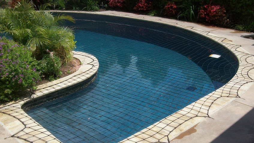 A pool with a dark tiled floor curves alongside garden plants and bright red flowers.
