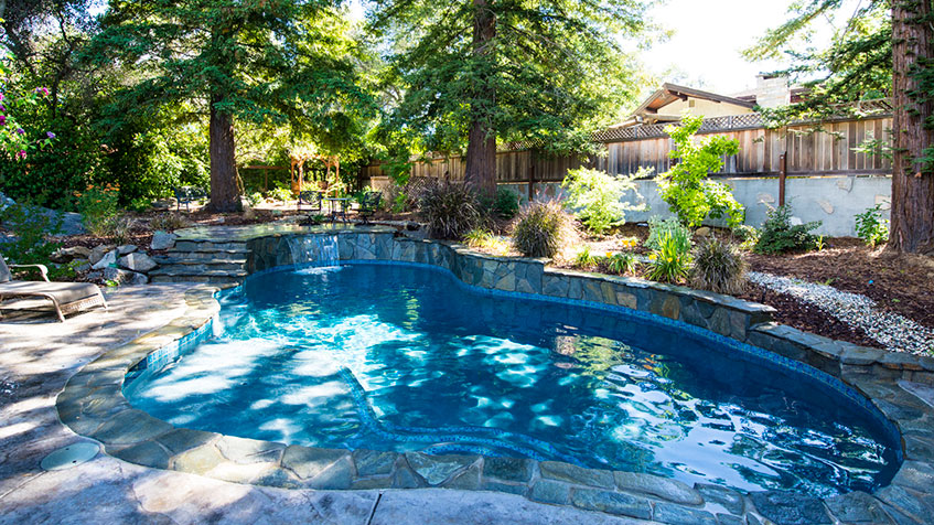 A shaded backyard pool with natural stone edges and landscaping beneath tall redwood trees.