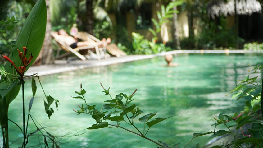 A natural pool surrounded by tropical plants with blurred figures relaxing on lounge chairs in the background.