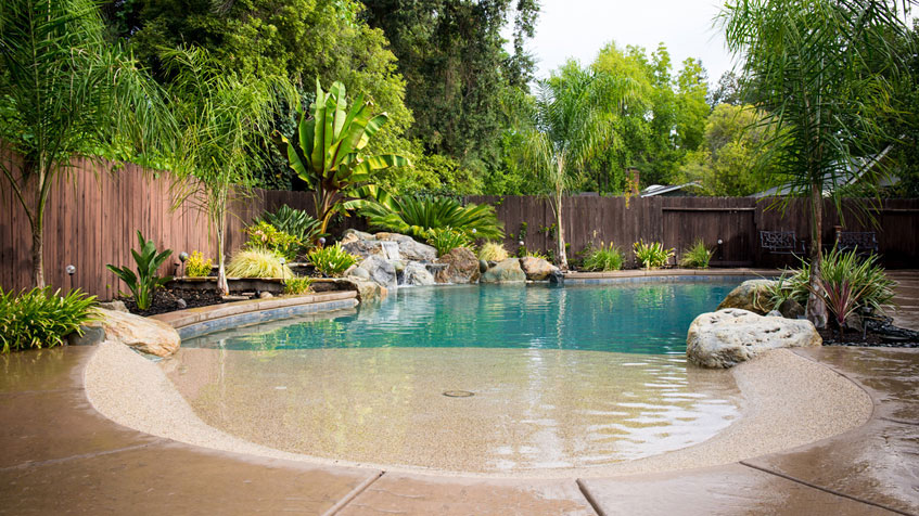Tropical-themed swimming pool with beach entry featuring tan pebble finish transitioning to blue water, natural rock waterfall, large decorative boulders, lush tropical plants including banana trees and palms, wooden privacy fence, and wet concrete decking.