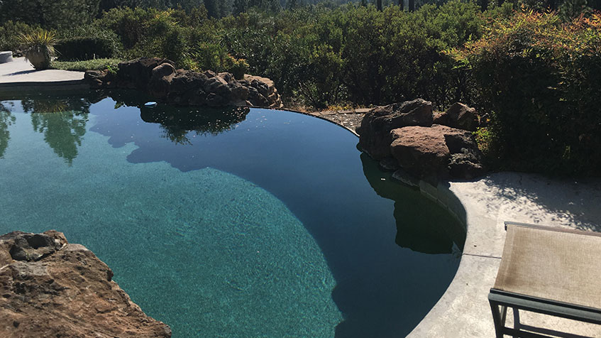 A naturalistic backyard pool with dark water and stone edging blends into surrounding greenery.