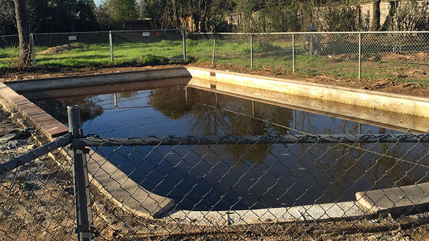 A fenced, neglected in-ground pool with dark water stands in an overgrown yard.