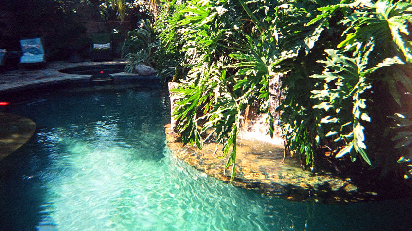 A lagoon-style pool shaded by overhanging tropical plants with a hidden grotto feel.