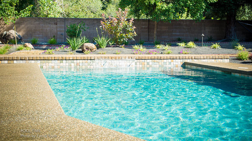 Rectangular swimming pool with clear blue water, tan concrete decking, landscaped garden bed with plants along the back, and a concrete block wall fence in the background.