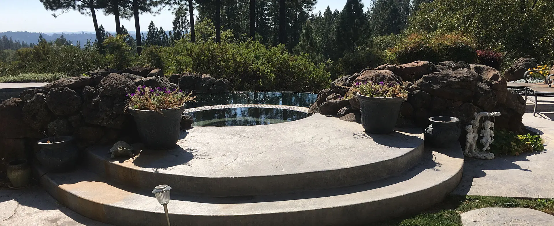 Backyard pool with landscaped surround